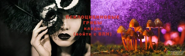 дживик Алзамай
