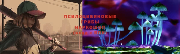 эйфоретик Алексин