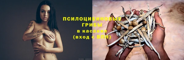 дживик Алзамай