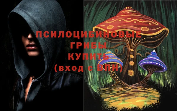 эйфоретик Алексин