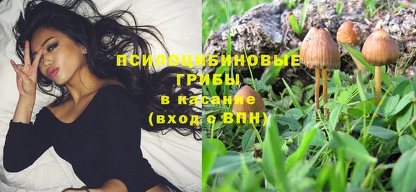 эйфоретик Алексин