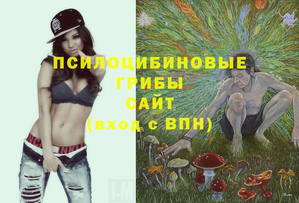 дживик Алзамай