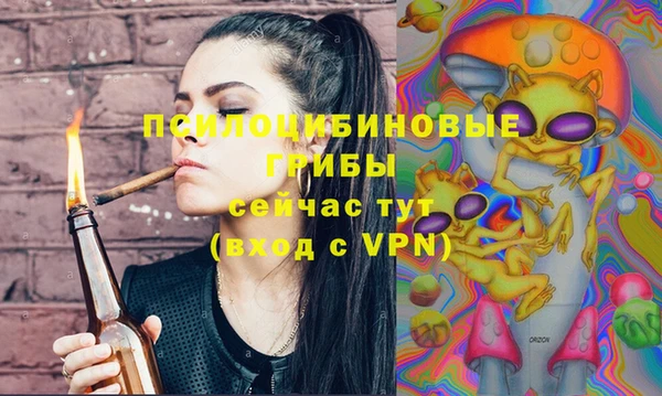 эйфоретик Алексин