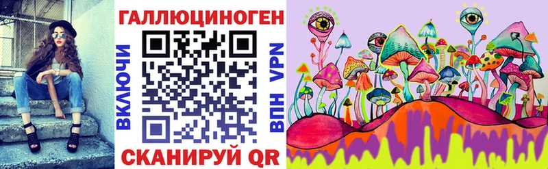 Псилоцибиновые грибы Cubensis  Чаплыгин 