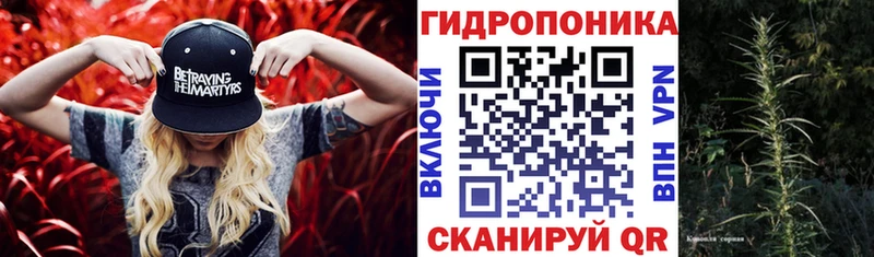 площадка как зайти  продажа наркотиков  Чаплыгин  Шишки марихуана AK-47 